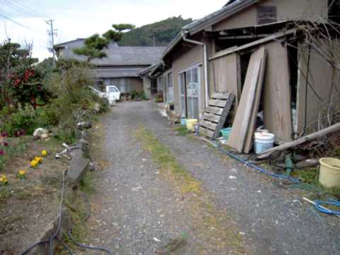 営業先の犬の大歓迎する姿に感動さえ覚えます