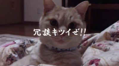 979df35e617cf5e7a94ac9932c4692fc.png