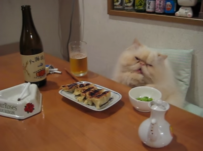 晩酌する姿が貫禄あり過ぎる猫