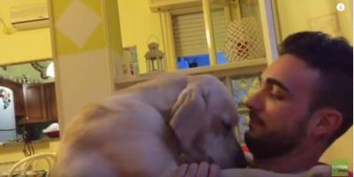 許して欲しいと必死に哀願する姿が愛おしい犬