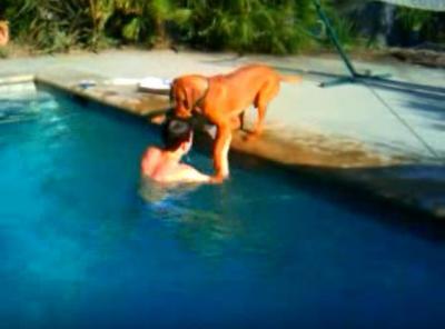 飼い主さんが溺れた!?必死に助けようとする犬