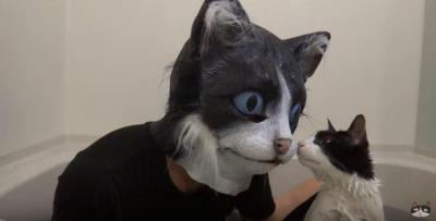 お風呂好きな猫。巨大猫を見たその反応は?