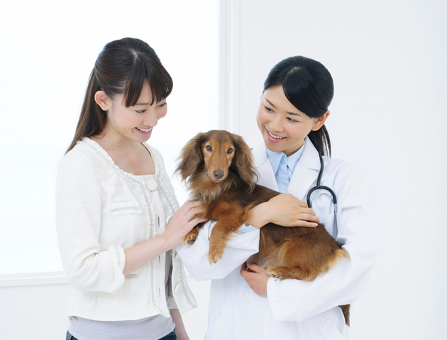 【マナー講座】動物病院での飼い主さんのマナーとは?