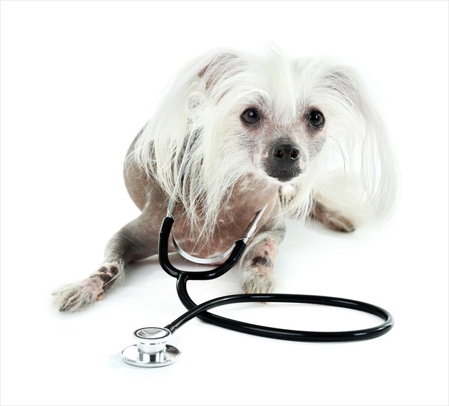 shutterstock_296472866_R