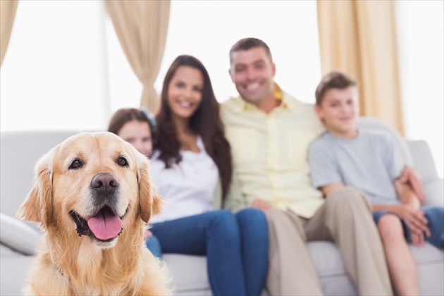shutterstock_258017732
