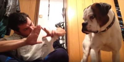 飼い主さんと犬。心で通じる関係に感動