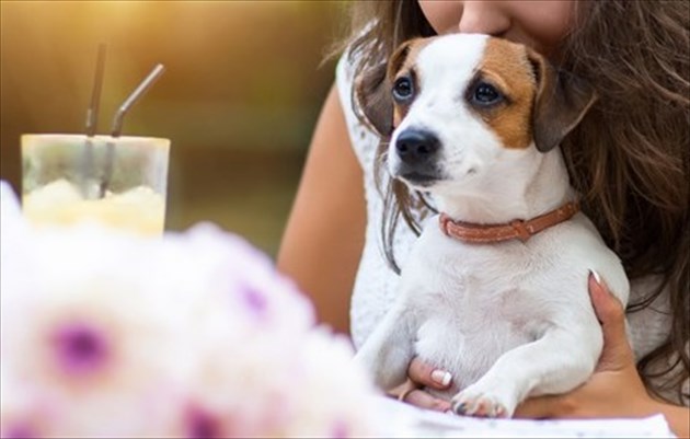 shutterstock_370595513_R_R