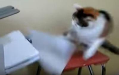 プリンターに猫パンチの連打!