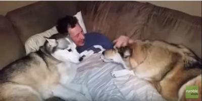 自分だけ可愛がって欲しい!ヤキモチを妬く犬