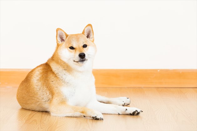 shutterstock_176664056_R