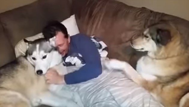 jerassydog_R