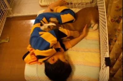 サークルで寝てしまう男の子と犬に癒やされます