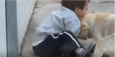 言葉が無くても犬は全てを愛します