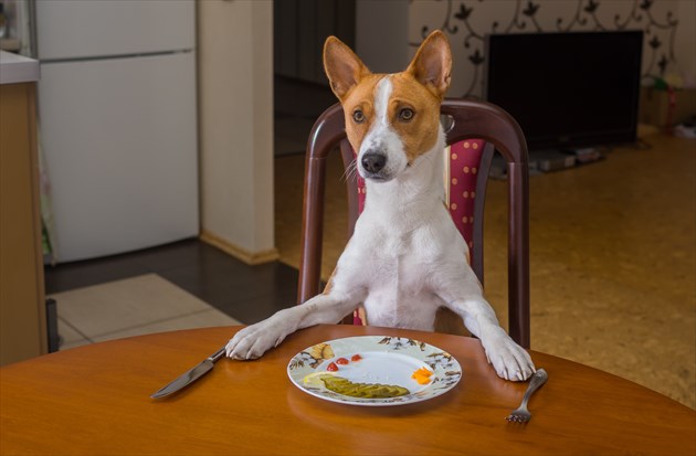 shutterstock_369279407_R