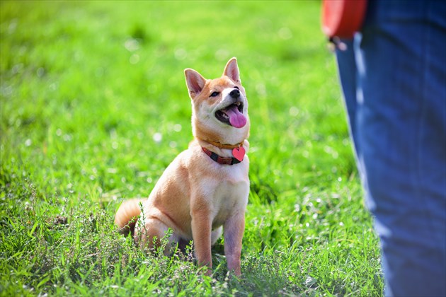 shutterstock_281482349_R