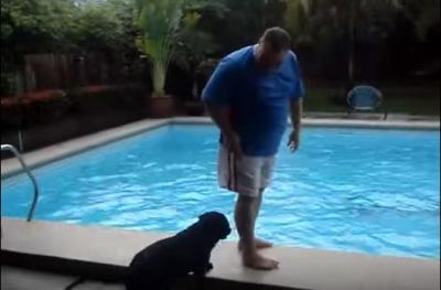 ドボン!次々プールへ突き落とす犬
