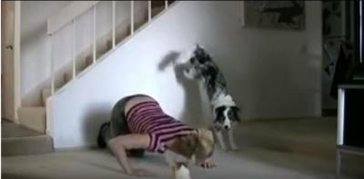 そこまでする!?凄すぎる犬の筋トレ