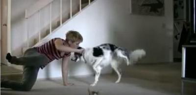 そこまでする!?凄すぎる犬の筋トレ