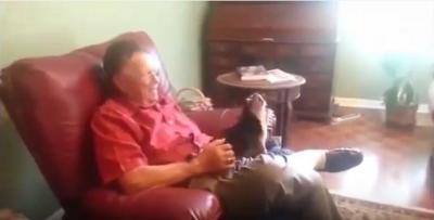 チワワ、抱っこを拒否する技は死んだふり