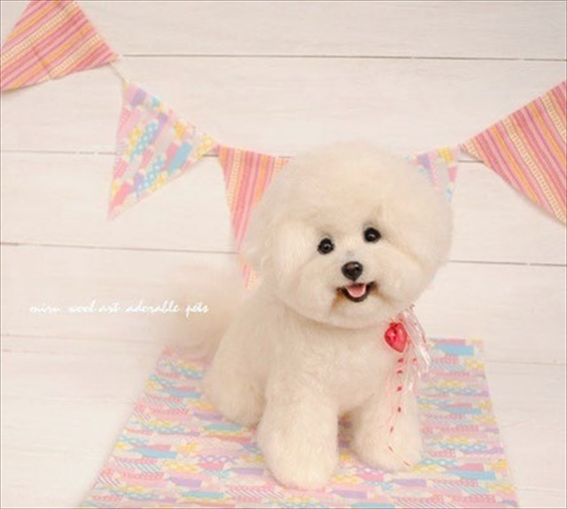 image (1)_R