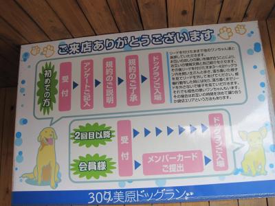 【美原北IC・美原南IC】ドッグランデビューはここで決まり!安心設備のドッグラン「309美原ドッグラン」【大阪府堺市美原区】
