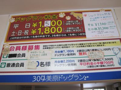 【美原北IC・美原南IC】ドッグランデビューはここで決まり!安心設備のドッグラン「309美原ドッグラン」【大阪府堺市美原区】