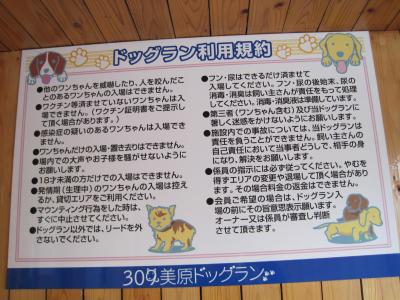 【美原北IC・美原南IC】ドッグランデビューはここで決まり!安心設備のドッグラン「309美原ドッグラン」【大阪府堺市美原区】