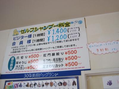 【美原北IC・美原南IC】ドッグランデビューはここで決まり!安心設備のドッグラン「309美原ドッグラン」【大阪府堺市美原区】