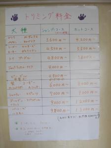 【美原北IC・美原南IC】ドッグランデビューはここで決まり!安心設備のドッグラン「309美原ドッグラン」【大阪府堺市美原区】
