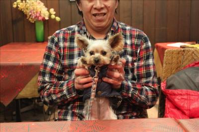 【平塚駅】愛犬と家庭的な味が楽しめるレストラン、ペット可「開化亭」【神奈川県平塚市】