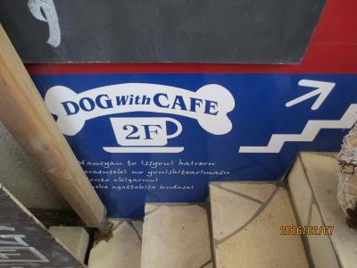 【片瀬江ノ島駅】愛犬とオーシャンビューでおしゃれなランチを♪ペット可「i-na cafe(イーナカフェ)」 【神奈川県藤沢市】