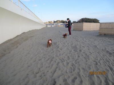 【片瀬江ノ島駅】愛犬とオーシャンビューでおしゃれなランチを♪ペット可「i-na cafe(イーナカフェ)」 【神奈川県藤沢市】