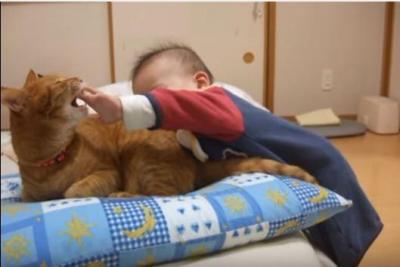 我慢強い猫。しっぽを囓られても手は出しません