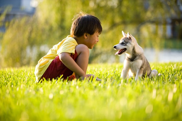 shutterstock_39704332_R