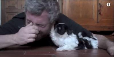 シーズー犬が可愛すぎてメロメロなお父さん