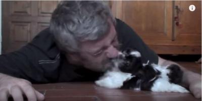 シーズー犬が可愛すぎてメロメロなお父さん