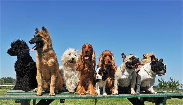 shutterstock_53906020_R