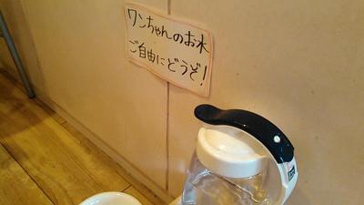 【入谷駅】飛び交う笑い声と下町情緒、ペットOKカフェバー「CAFE Rei(カフェ レイ)」【東京都台東区】