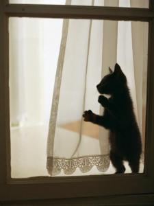 「#僕らの居場所は言わにゃいで」このタグに込められた願い、思いとは?