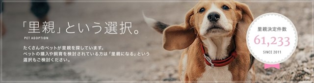 satooya_R