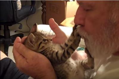 飼い主さんのキスにキレた子猫