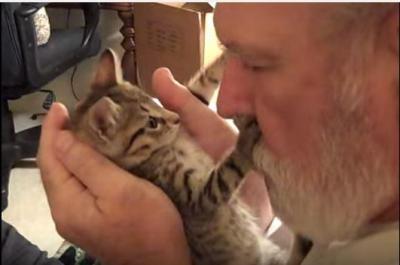 飼い主さんのキスにキレた子猫