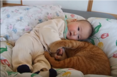 【ほのぼの】仲良く寄り添う赤ちゃんと猫