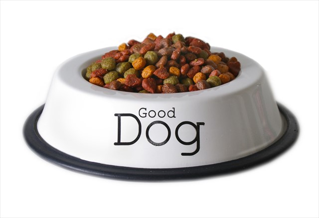 Isolated dish of dog food with the words "good dog".