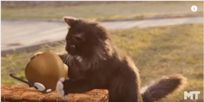 モフモフ猫がスーパーマリオに参戦!