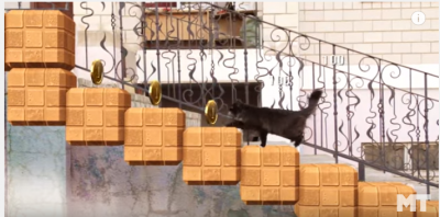モフモフ猫がスーパーマリオに参戦!