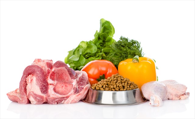 shutterstock_264954887