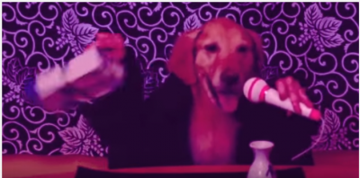 犬が演じる働く日本のサラリーマン!