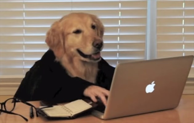 dogsalaryman_R