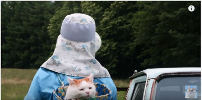 背負われた「かご猫」飼い主さんとお仕事?